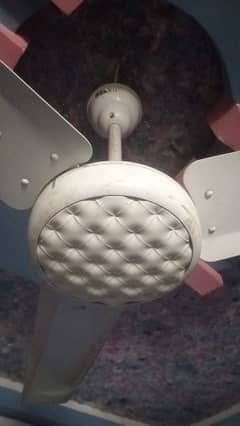 ceiling Fans in good running condition