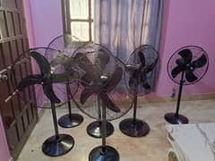 new stand fan for rent