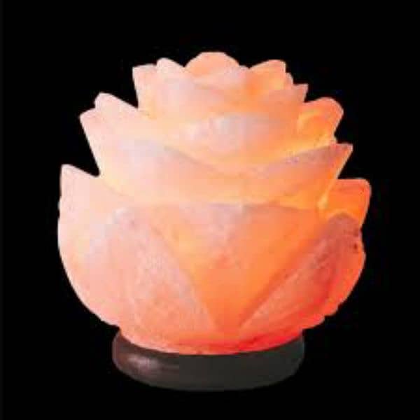 Himalayan Salt Crafts Lamps/ Salt Lamp /Table Lamp 1