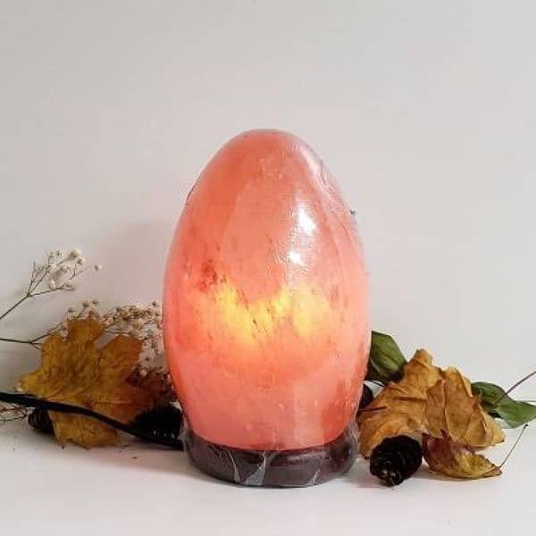 Himalayan Salt Crafts Lamps/ Salt Lamp /Table Lamp 2