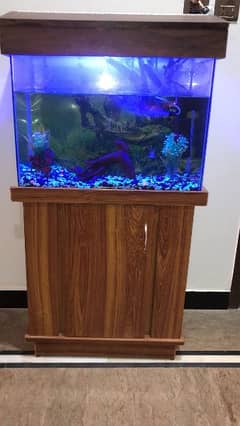 fish aquarium in good condition