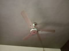 Breeze ceiling fan for sale