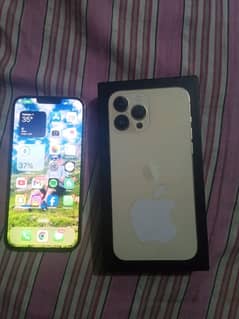 iPhone 13 Pro Max A1 Condition