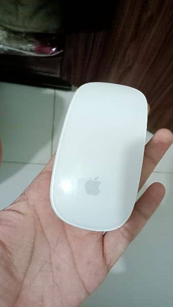 apple Orignal Mouse 1st generation, Few Used 0