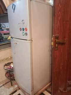 fridge, refrigerator PEL