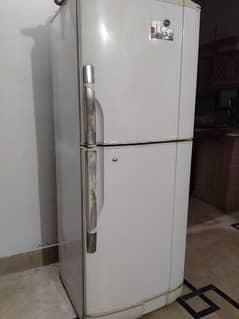 PEL Refrigerator 18 cubic feet