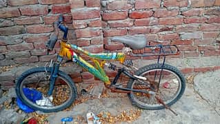 phoenix original bicycle