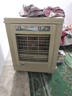 Asia room cooler
