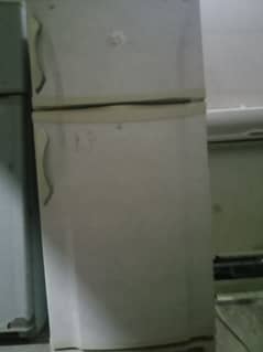 pel fridge 17000