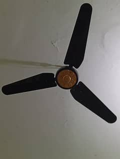 brand new ceiling fan