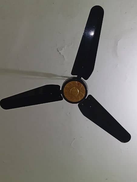 brand new ceiling fan 1