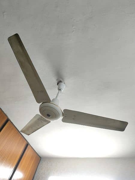 ceiling and pedestal fan 0