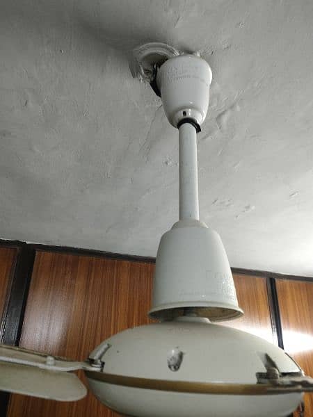 ceiling and pedestal fan 1