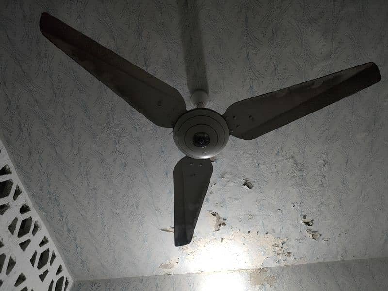 ceiling and pedestal fan 4