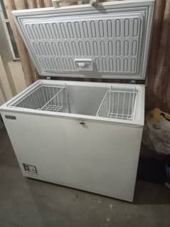 D freezer full size
