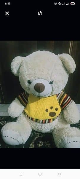 teddy for sale 0