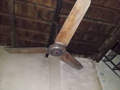 Used Ceiling fans