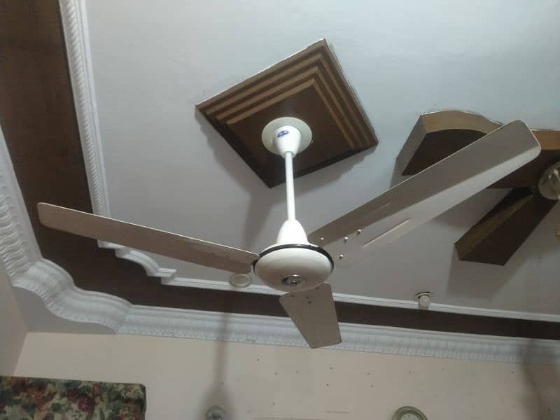 Pak Fans / Celling Fans 05 Pieces Each fan price 6000 2