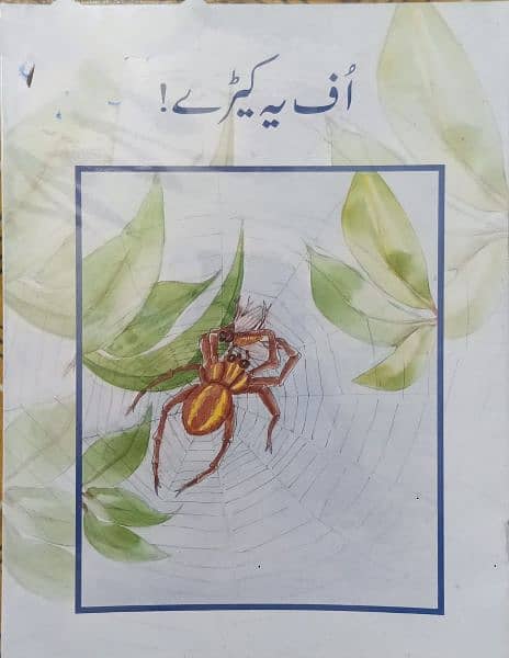 GRADE -3 CLASS READERS (URDU & ENGLISH ) 10 BOOKS PACK 2