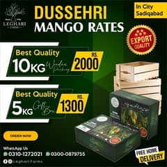 Premium Export Dussehri Mango Available