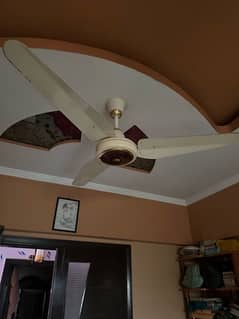 2 pc ceiling fan 5k each used in drawing room