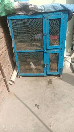 pigeon cage