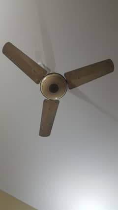 fan small