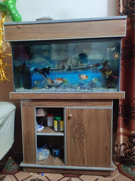 Fish Aquarium size 3 Fits 0