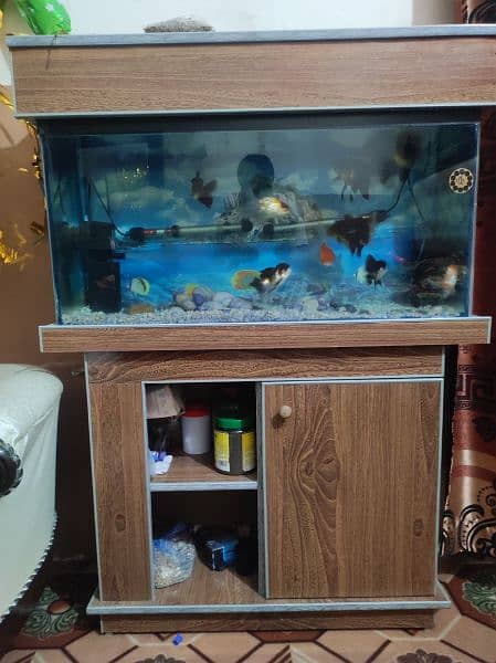 Fish Aquarium size 3 Fits 3