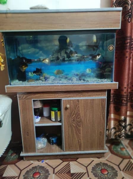 Fish Aquarium size 3 Fits 4