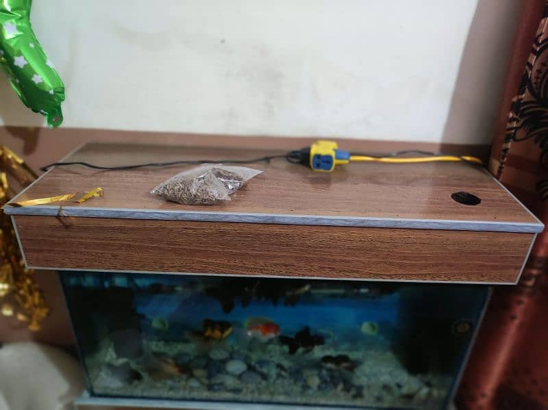 Fish Aquarium size 3 Fits 5