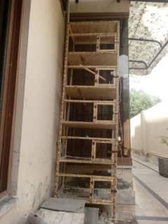 5 portion cage/birds/budgies/lovebirds/cage for sale/iron cage/