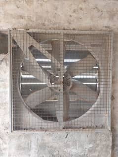 Fans for Dairy and Poultry Farms