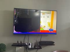 TCL P615 Smart Android tv 50 inch led broken