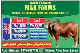 Qurbani cow Share hussa 2024