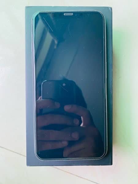 iPhone 11 Pro Max 256 GB Dual PTA Approved 2