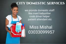 Maid/Babysitter/Patient attendant/Driver/Cook/Helper etc