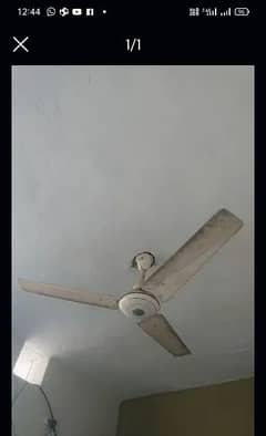 2 ceiling fans. . in 11000,aik bhi lay skty hain wik 5500 mn mil jaega