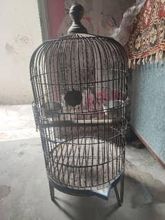Cage for birds new condition