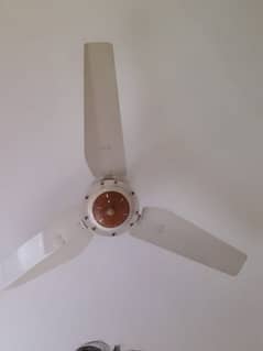 ceiling fan for sale cooper