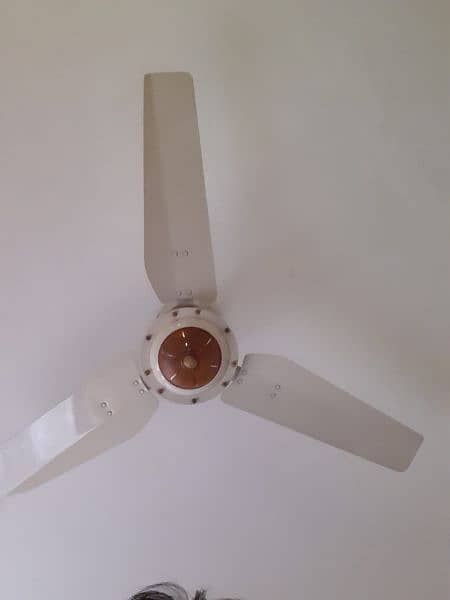 ceiling fan for sale cooper 0
