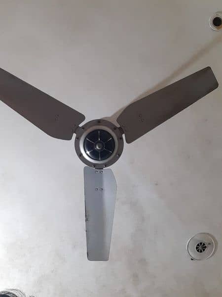 ceiling fan for sale cooper 1