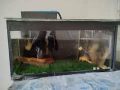 Aquariums for sell