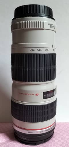 Canon 70-200 lens