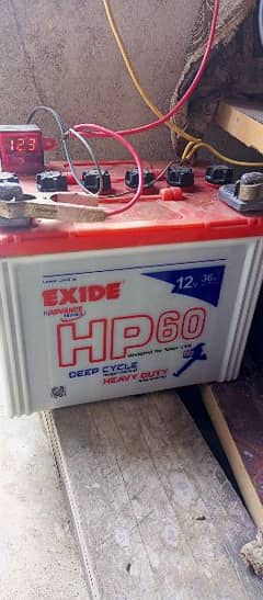 exide deep cycle HP 60