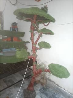 mh  direction tree for sale arjant