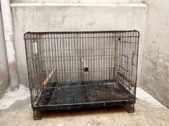 Grey Parrot Cage for sale