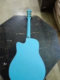 Acoustic beginner guitar