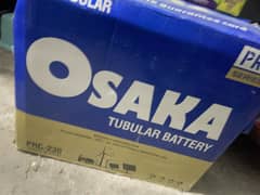 2 Osaka Tall Tubullar Batteries For Sale
