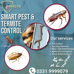 Termite Control/Pest Control/Deemak Control/Fumigation/Dengue Spray